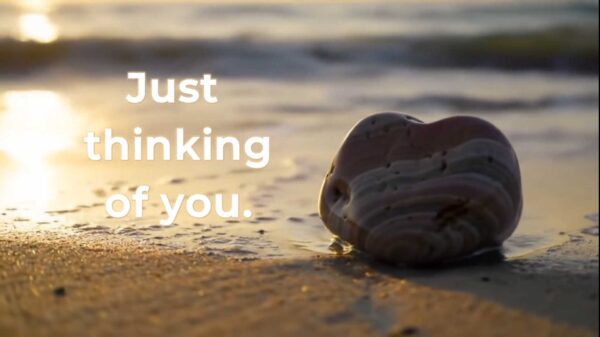 Just Thinking of You, heart rock on a beach scene.