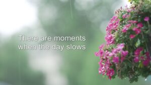 When the Day Slows